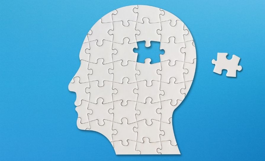 brain