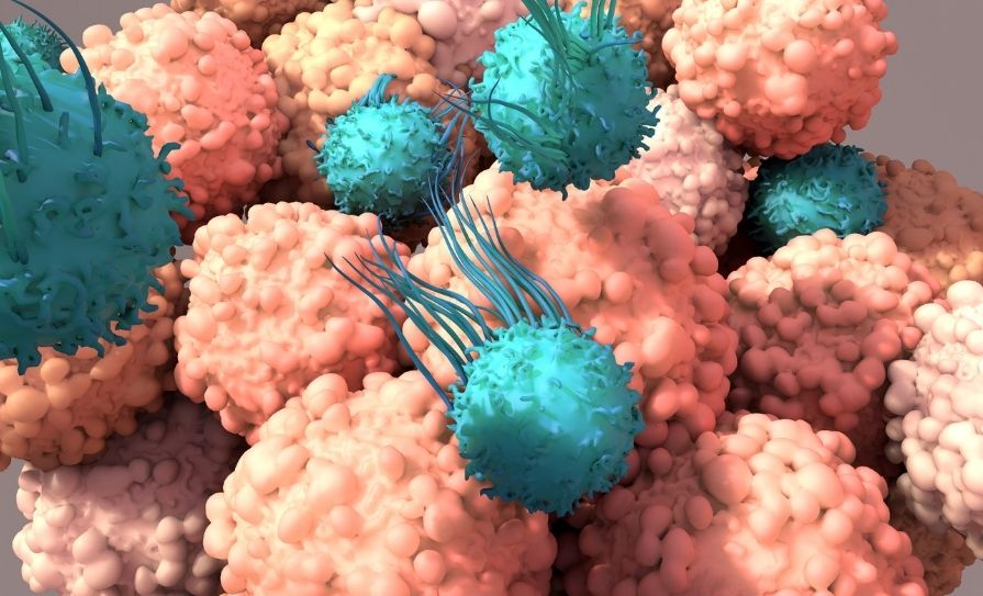 T-cell