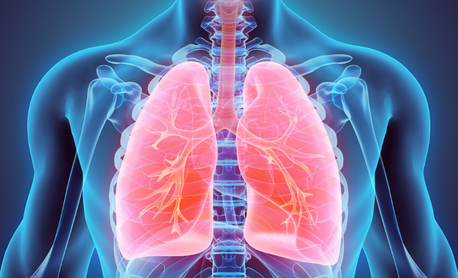 Clinical trial
