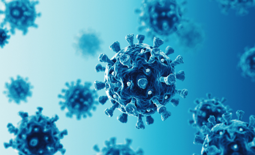 immune system