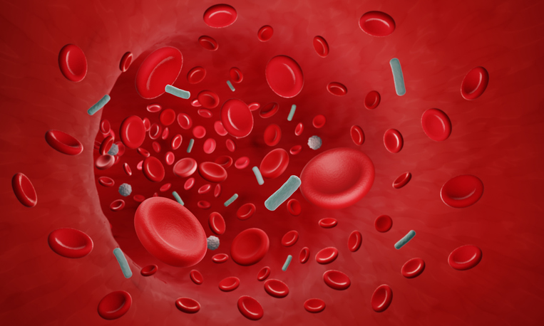 Bacterium disrupting blood flow